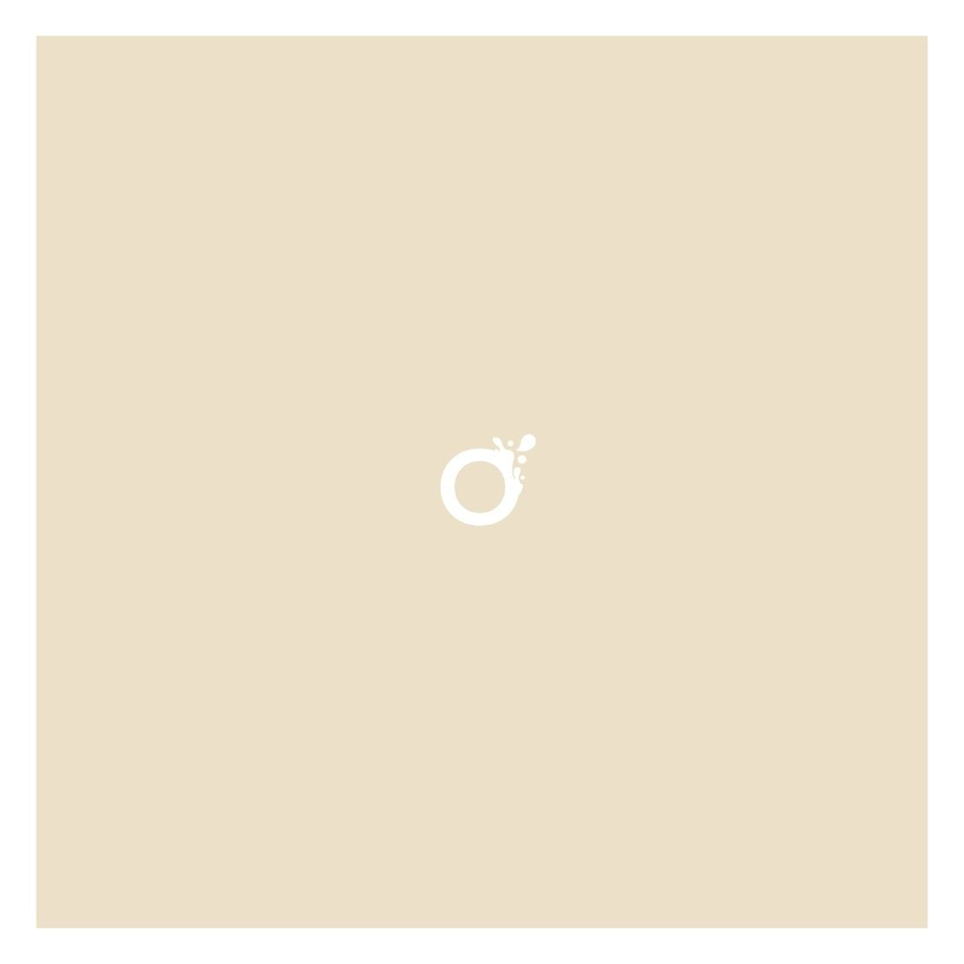 Peinture écologique professionnelle - Beige Oléron