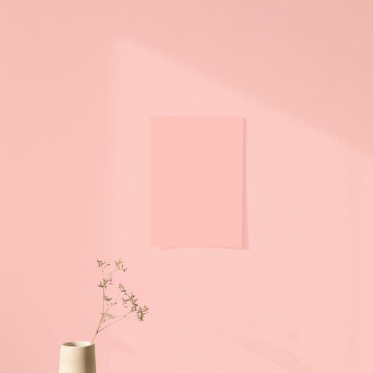 Échantillon Nuancier Algo Pro Rose Bora Bora