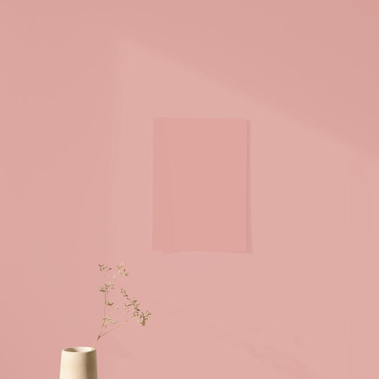 Échantillon Nuancier Algo Pro Rose Aurore