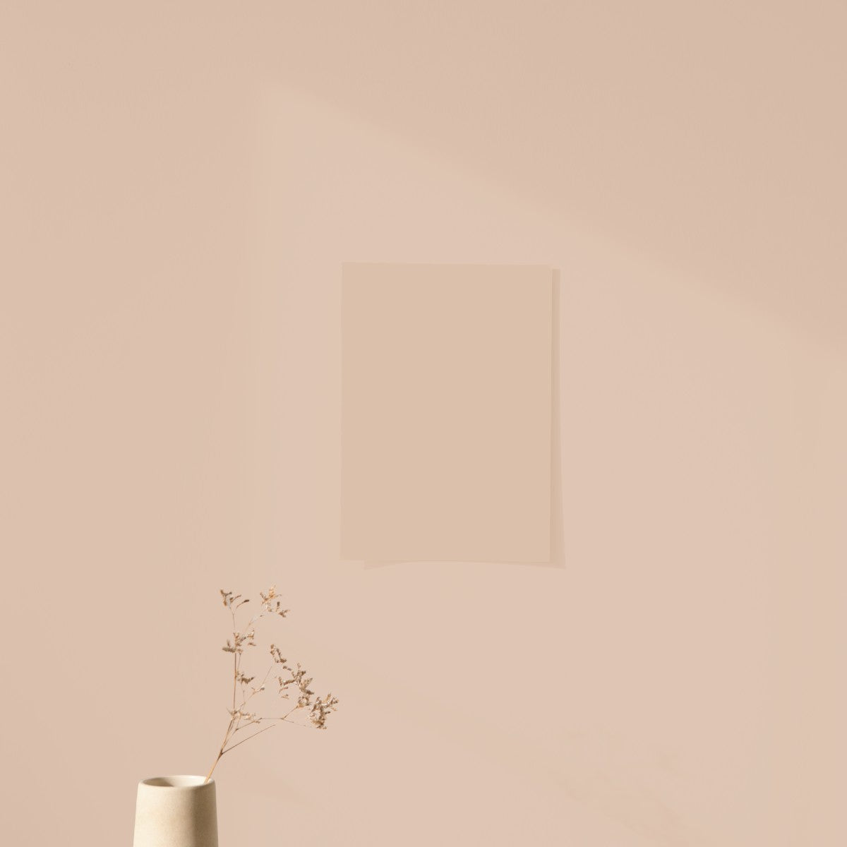 Échantillon Nuancier Algo Pro Beige Corde