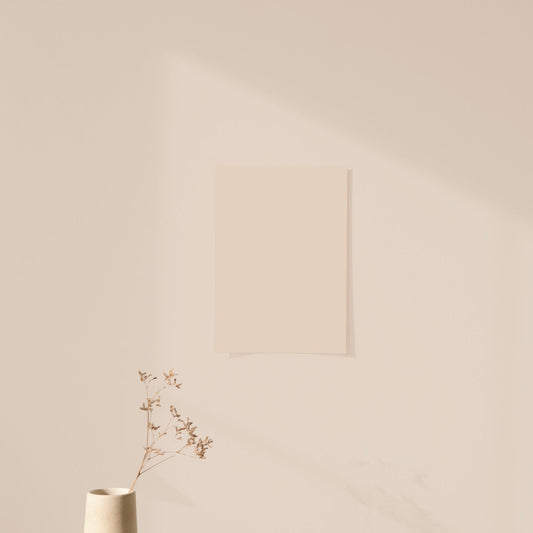 Échantillon Nuancier Algo Pro Beige Les Noisettes Coquettes