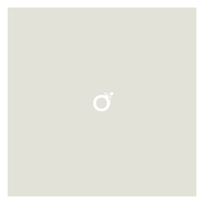 Peinture écologique professionnelle - Ours Blanc Arctique